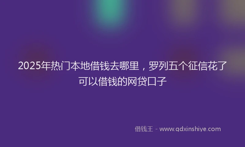2025年热门本地借钱去哪里，罗列五个征信花了可以借钱的网贷口子