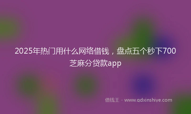 2025年热门用什么网络借钱，盘点五个秒下700芝麻分贷款app