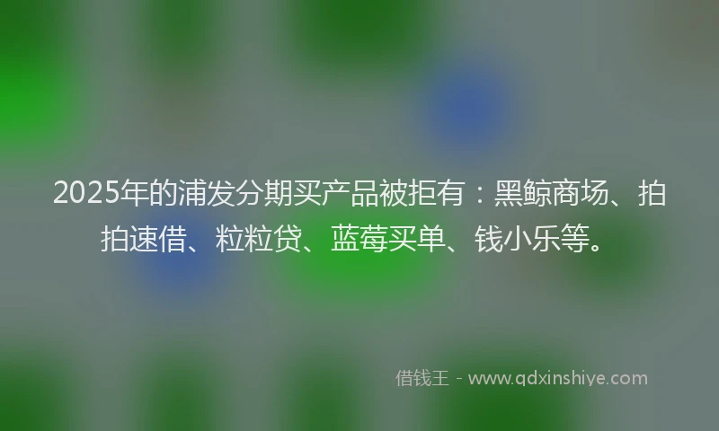 2025年的浦发分期买产品被拒有：黑鲸商场、拍拍速借、粒粒贷、蓝莓买单、钱小乐等。