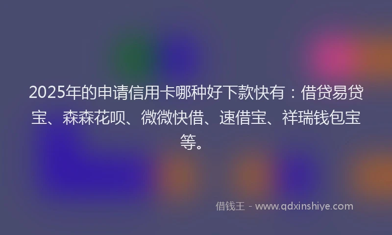 2025年的申请信用卡哪种好下款快有：借贷易贷宝、森森花呗、微微快借、速借宝、祥瑞钱包宝等。