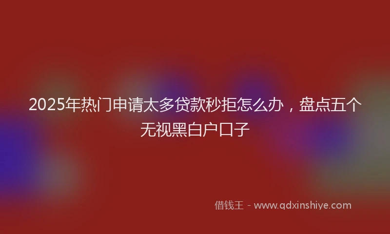 2025年热门申请太多贷款秒拒怎么办，盘点五个无视黑白户口子