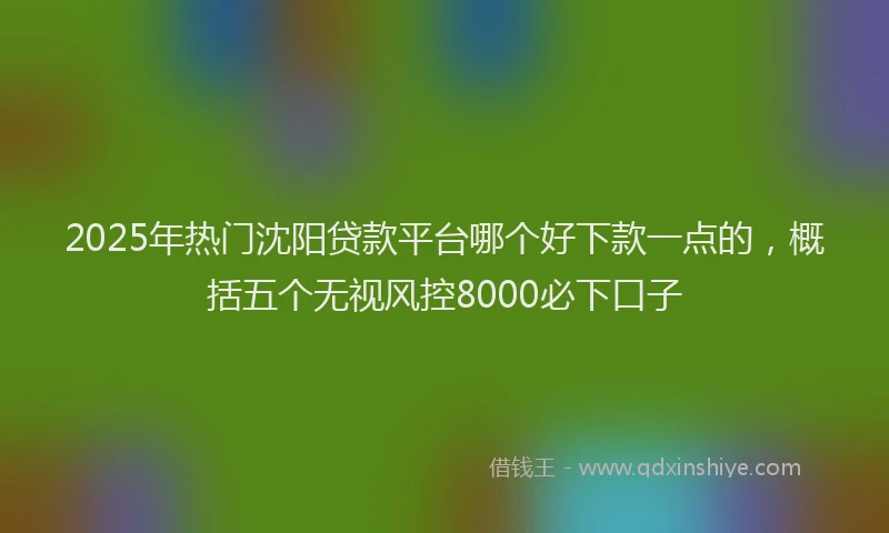 2025年热门沈阳贷款平台哪个好下款一点的，概括五个无视风控8000必下口子