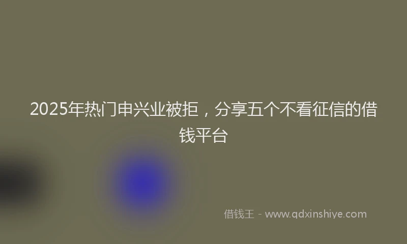 2025年热门申兴业被拒，分享五个不看征信的借钱平台