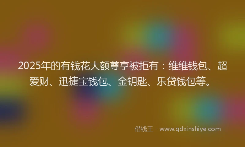 2025年的有钱花大额尊享被拒有：维维钱包、超爱财、迅捷宝钱包、金钥匙、乐贷钱包等。