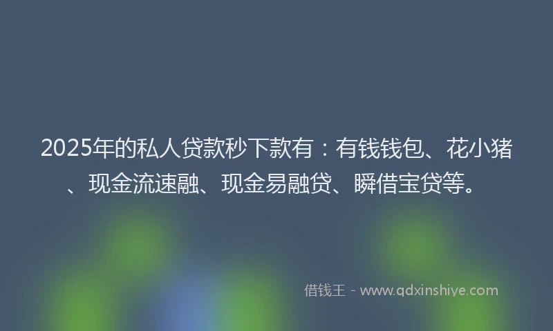 2025年的私人贷款秒下款有：有钱钱包、花小猪、现金流速融、现金易融贷、瞬借宝贷等。