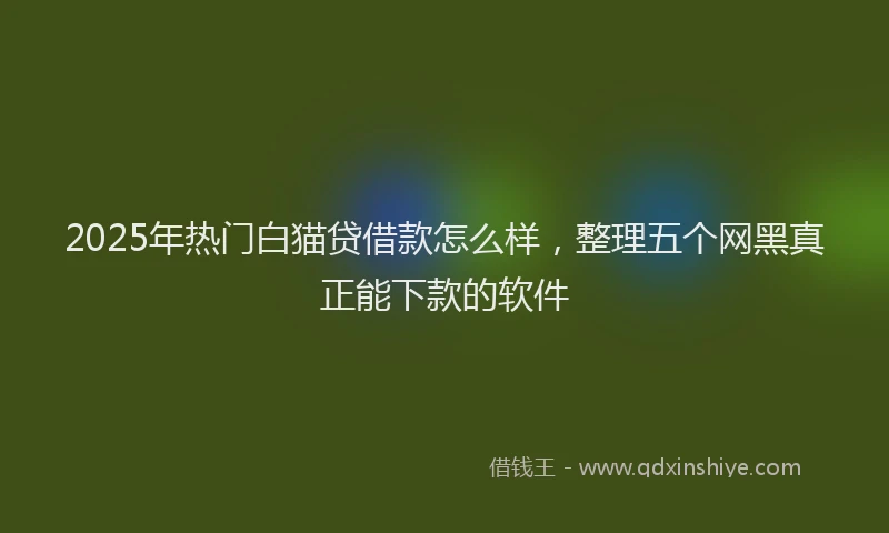 2025年热门白猫贷借款怎么样，整理五个网黑真正能下款的软件
