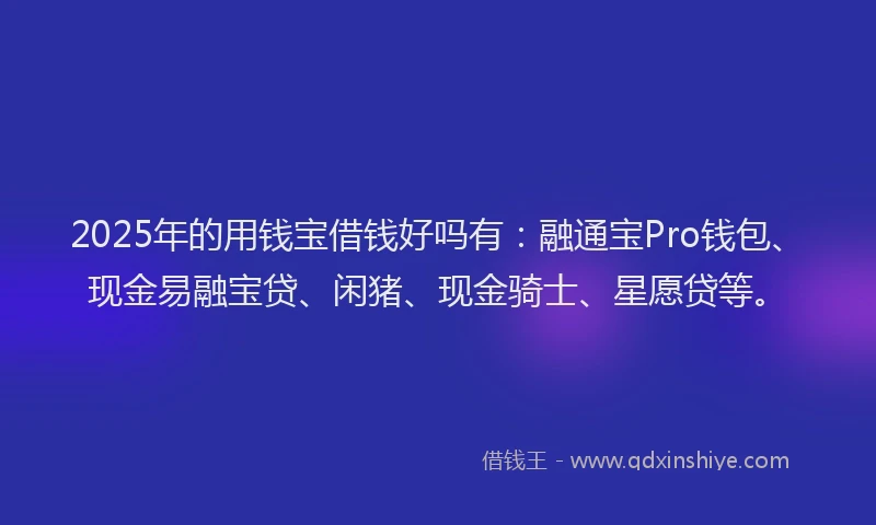 2025年的用钱宝借钱好吗有：融通宝Pro钱包、现金易融宝贷、闲猪、现金骑士、星愿贷等。