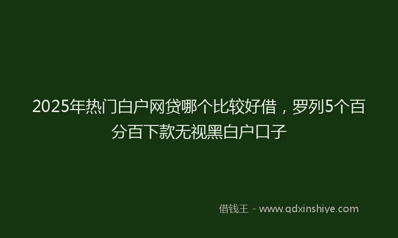 2025年热门白户网贷哪个比较好借，罗列5个百分百下款无视黑白户口子