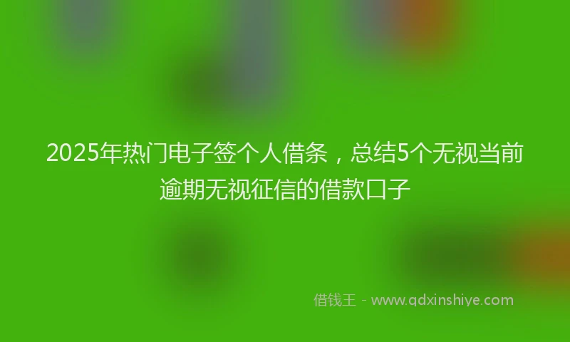 2025年热门电子签个人借条，总结5个无视当前逾期无视征信的借款口子