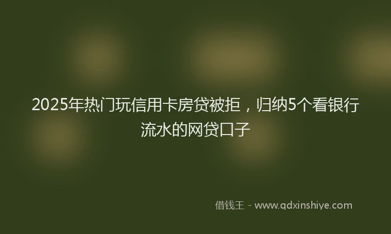 2025年热门玩信用卡房贷被拒，归纳5个看银行流水的网贷口子