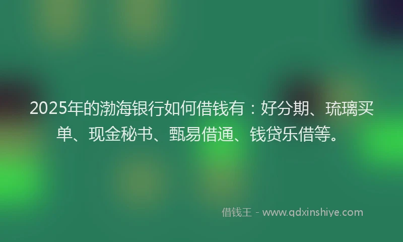 2025年的渤海银行如何借钱有：好分期、琉璃买单、现金秘书、甄易借通、钱贷乐借等。