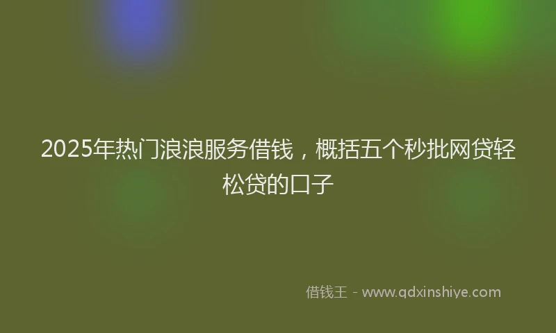2025年热门浪浪服务借钱，概括五个秒批网贷轻松贷的口子