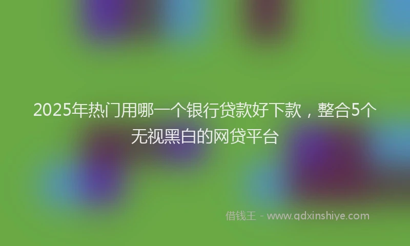 2025年热门用哪一个银行贷款好下款，整合5个无视黑白的网贷平台