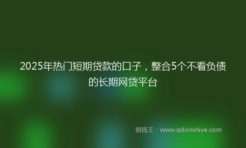 2025年热门短期贷款的口子，整合5个不看负债的长期网贷平台