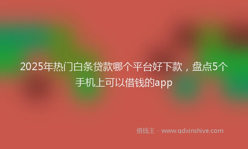 2025年热门白条贷款哪个平台好下款，盘点5个手机上可以借钱的app