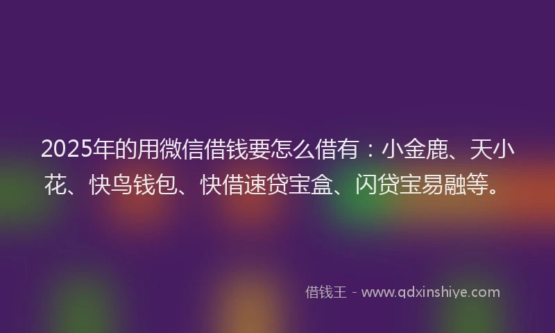 2025年的用微信借钱要怎么借有：小金鹿、天小花、快鸟钱包、快借速贷宝盒、闪贷宝易融等。