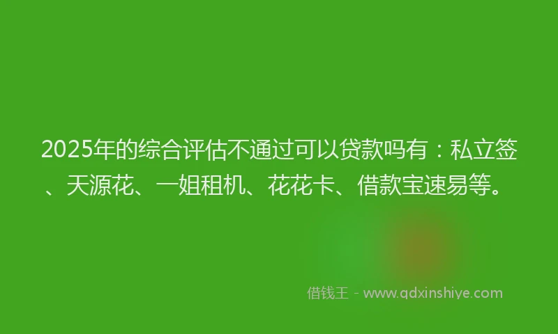 2025年的综合评估不通过可以贷款吗有：私立签、天源花、一姐租机、花花卡、借款宝速易等。
