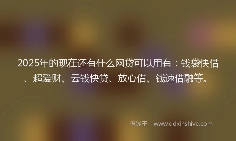 2025年的现在还有什么网贷可以用有：钱袋快借、超爱财、云钱快贷、放心借、钱速借融等。