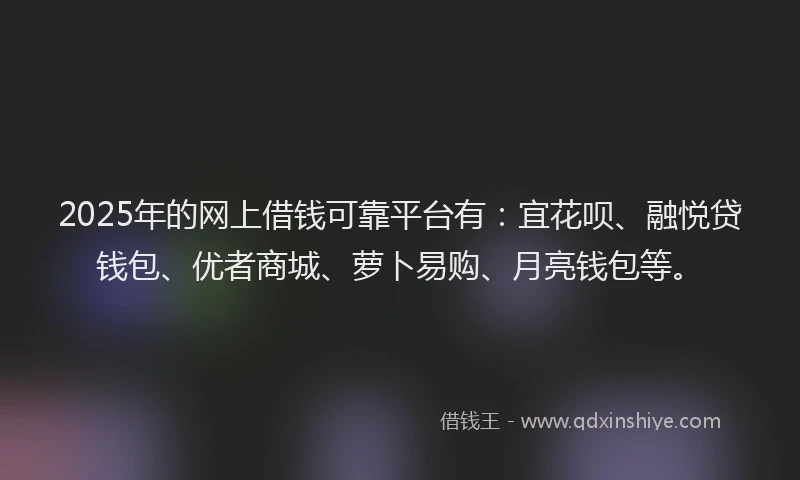 2025年的网上借钱可靠平台有：宜花呗、融悦贷钱包、优者商城、萝卜易购、月亮钱包等。