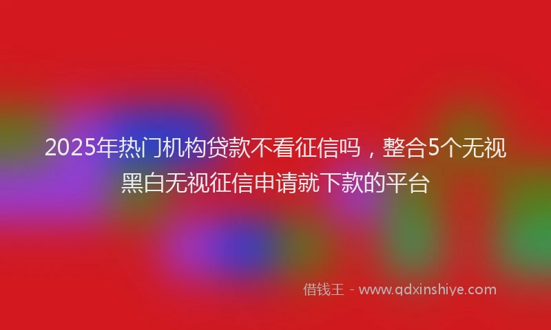 2025年热门机构贷款不看征信吗，整合5个无视黑白无视征信申请就下款的平台
