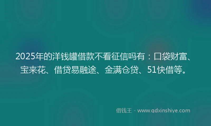 2025年的洋钱罐借款不看征信吗有：口袋财富、宝来花、借贷易融途、金满仓贷、51快借等。