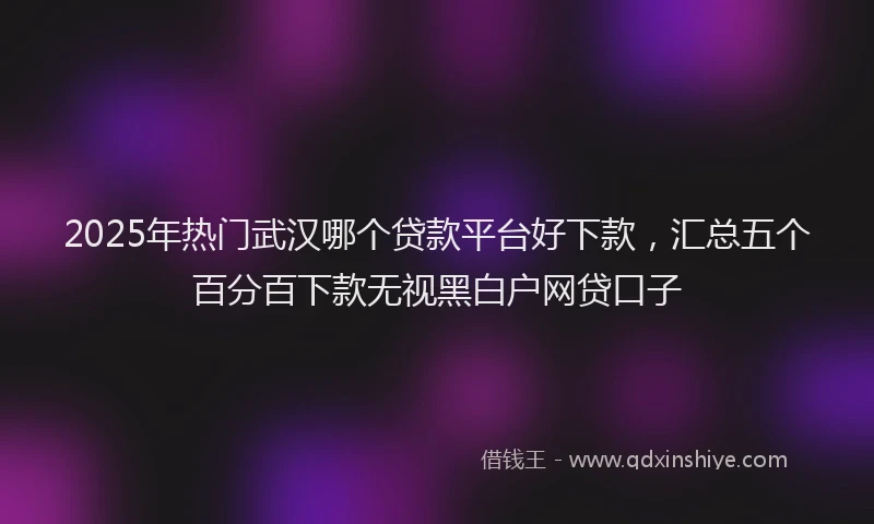 2025年热门武汉哪个贷款平台好下款，汇总五个百分百下款无视黑白户网贷口子