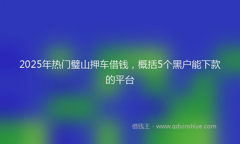 2025年热门璧山押车借钱，概括5个黑户能下款的平台