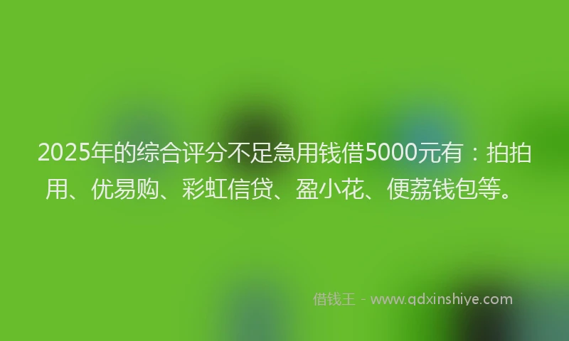 2025年的综合评分不足急用钱借5000元有：拍拍用、优易购、彩虹信贷、盈小花、便荔钱包等。