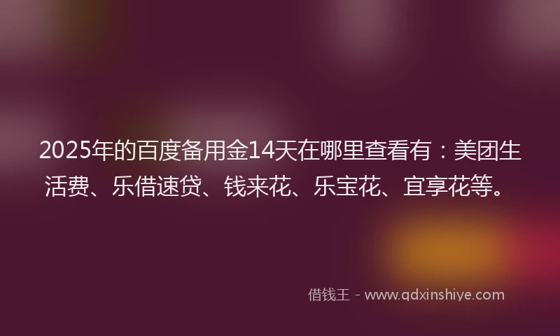 2025年的百度备用金14天在哪里查看有：美团生活费、乐借速贷、钱来花、乐宝花、宜享花等。