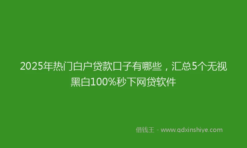 2025年热门白户贷款口子有哪些，汇总5个无视黑白100%秒下网贷软件