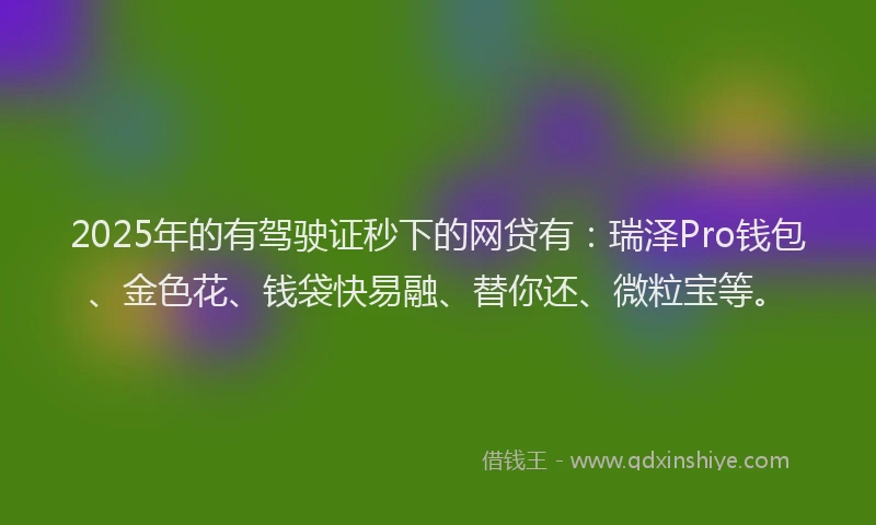 2025年的有驾驶证秒下的网贷有：瑞泽Pro钱包、金色花、钱袋快易融、替你还、微粒宝等。