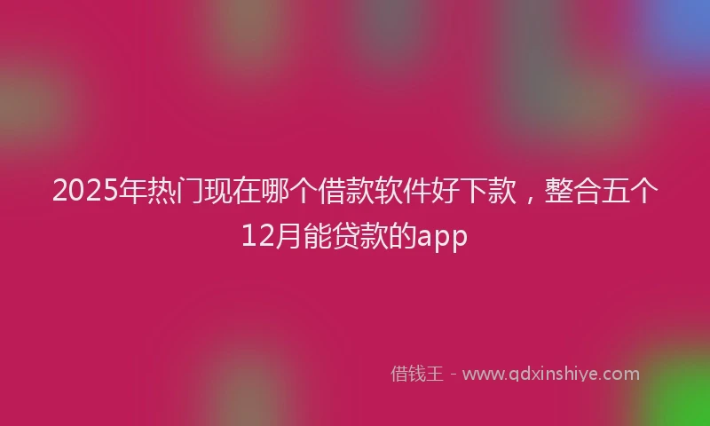 2025年热门现在哪个借款软件好下款，整合五个12月能贷款的app