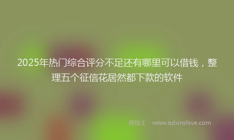 2025年热门综合评分不足还有哪里可以借钱，整理五个征信花居然都下款的软件