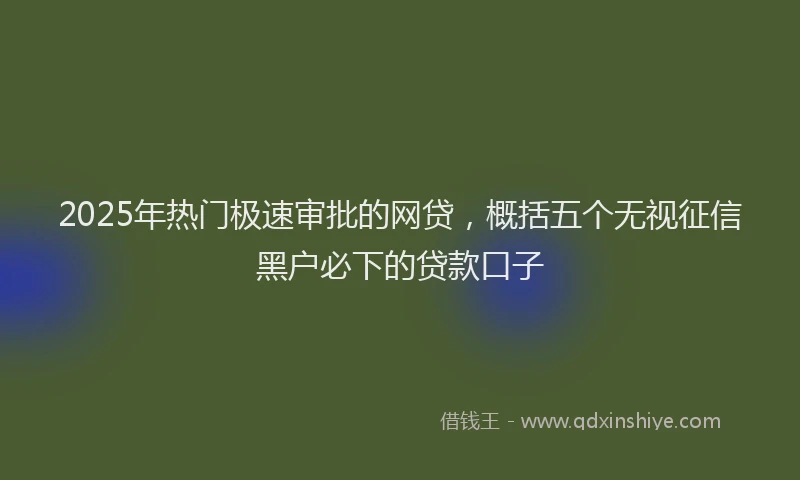 2025年热门极速审批的网贷，概括五个无视征信黑户必下的贷款口子
