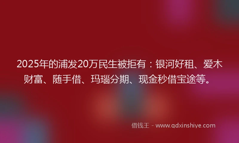 2025年的浦发20万民生被拒有：银河好租、爱木财富、随手借、玛瑙分期、现金秒借宝途等。
