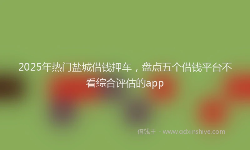 2025年热门盐城借钱押车，盘点五个借钱平台不看综合评估的app