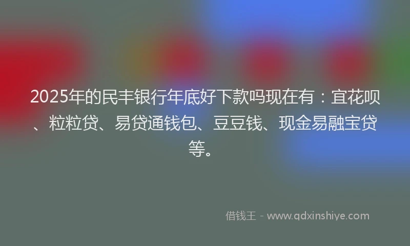2025年的民丰银行年底好下款吗现在有：宜花呗、粒粒贷、易贷通钱包、豆豆钱、现金易融宝贷等。