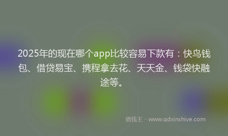 2025年的现在哪个app比较容易下款有：快鸟钱包、借贷易宝、携程拿去花、天天金、钱袋快融途等。