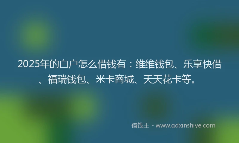 2025年的白户怎么借钱有：维维钱包、乐享快借、福瑞钱包、米卡商城、天天花卡等。