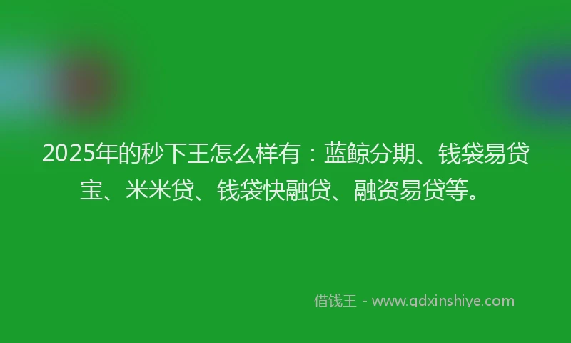 2025年的秒下王怎么样有：蓝鲸分期、钱袋易贷宝、米米贷、钱袋快融贷、融资易贷等。