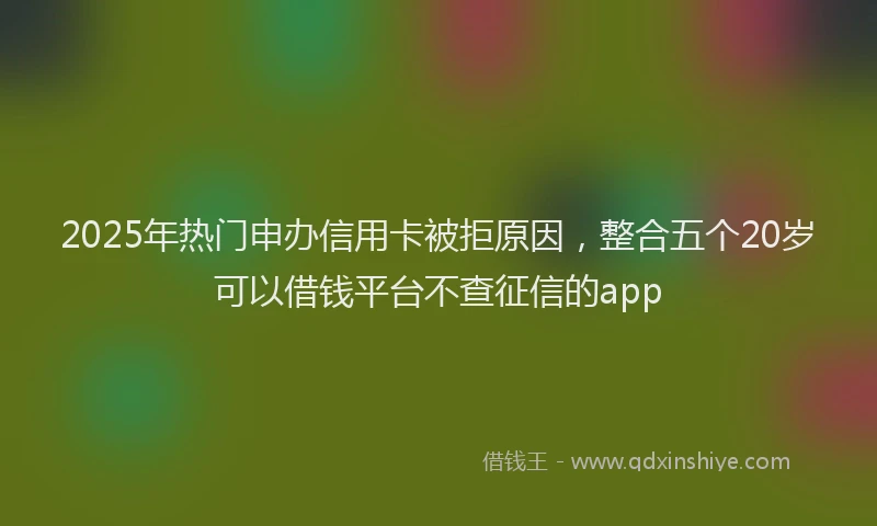 2025年热门申办信用卡被拒原因，整合五个20岁可以借钱平台不查征信的app