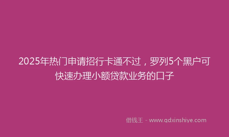 2025年热门申请招行卡通不过，罗列5个黑户可快速办理小额贷款业务的口子