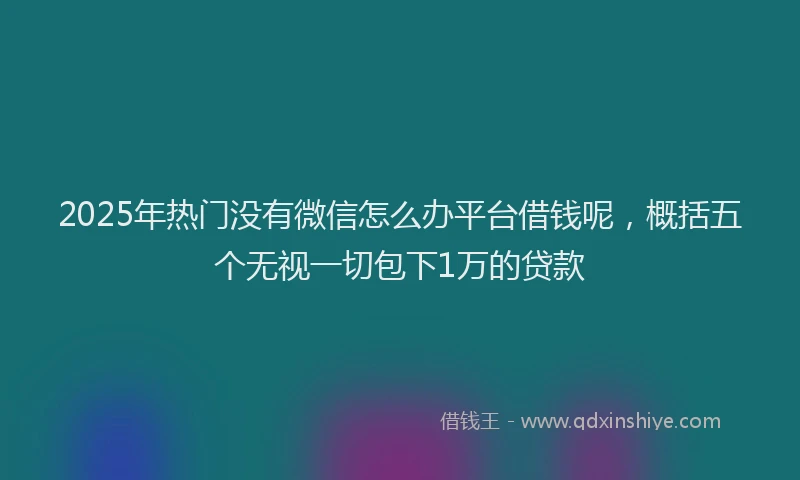 2025年热门没有微信怎么办平台借钱呢，概括五个无视一切包下1万的贷款