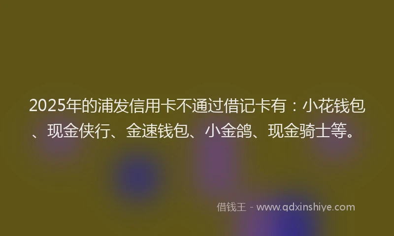 2025年的浦发信用卡不通过借记卡有：小花钱包、现金侠行、金速钱包、小金鸽、现金骑士等。