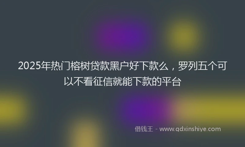 2025年热门榕树贷款黑户好下款么，罗列五个可以不看征信就能下款的平台