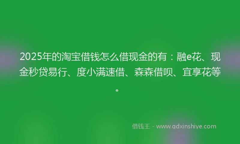 2025年的淘宝借钱怎么借现金的有：融e花、现金秒贷易行、度小满速借、森森借呗、宜享花等。
