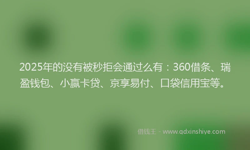 2025年的没有被秒拒会通过么有：360借条、瑞盈钱包、小赢卡贷、京享易付、口袋信用宝等。