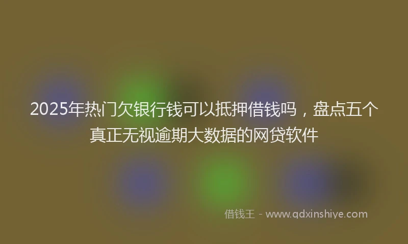 2025年热门欠银行钱可以抵押借钱吗，盘点五个真正无视逾期大数据的网贷软件