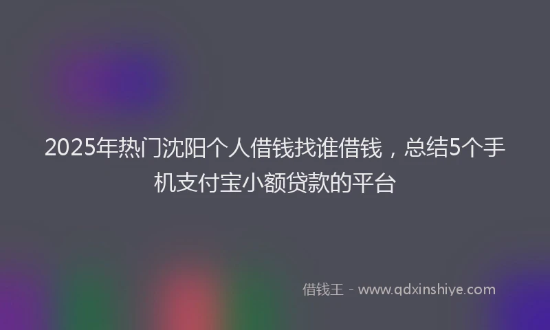 2025年热门沈阳个人借钱找谁借钱，总结5个手机支付宝小额贷款的平台