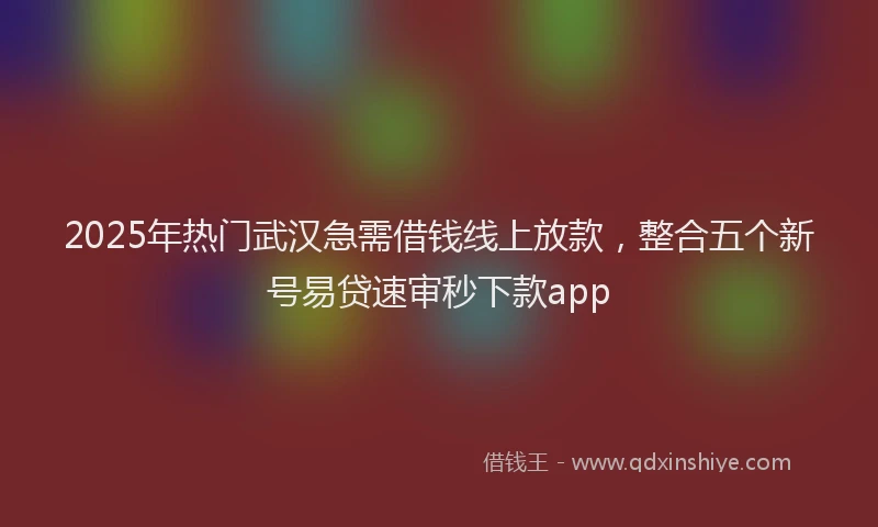 2025年热门武汉急需借钱线上放款，整合五个新号易贷速审秒下款app
